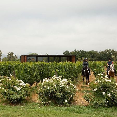 Vibo Wine Lodge At Viu Manent 산타크루스 외부 사진