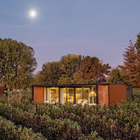 Vibo Wine Lodge At Viu Manent 산타크루스 외부 사진