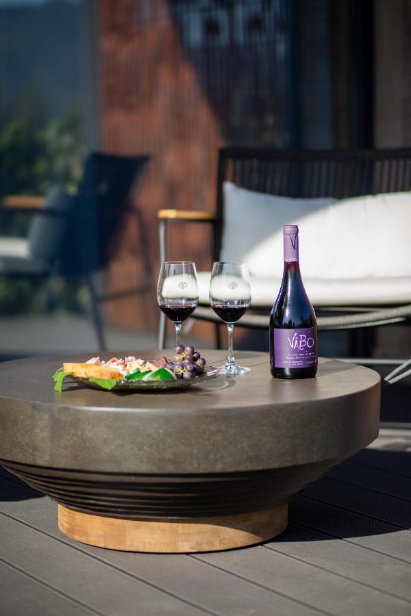 Vibo Wine Lodge At Viu Manent 산타크루스 외부 사진