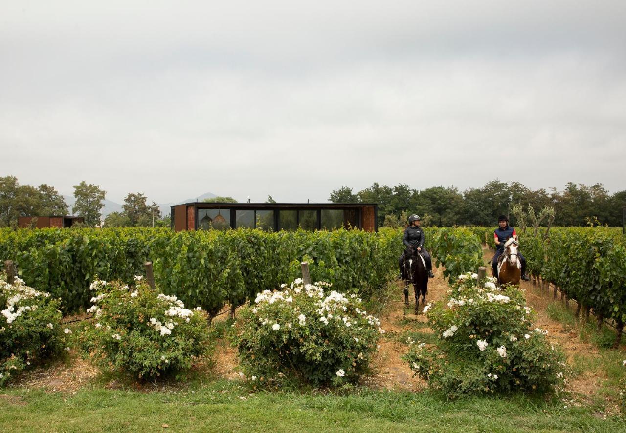Vibo Wine Lodge At Viu Manent 산타크루스 외부 사진