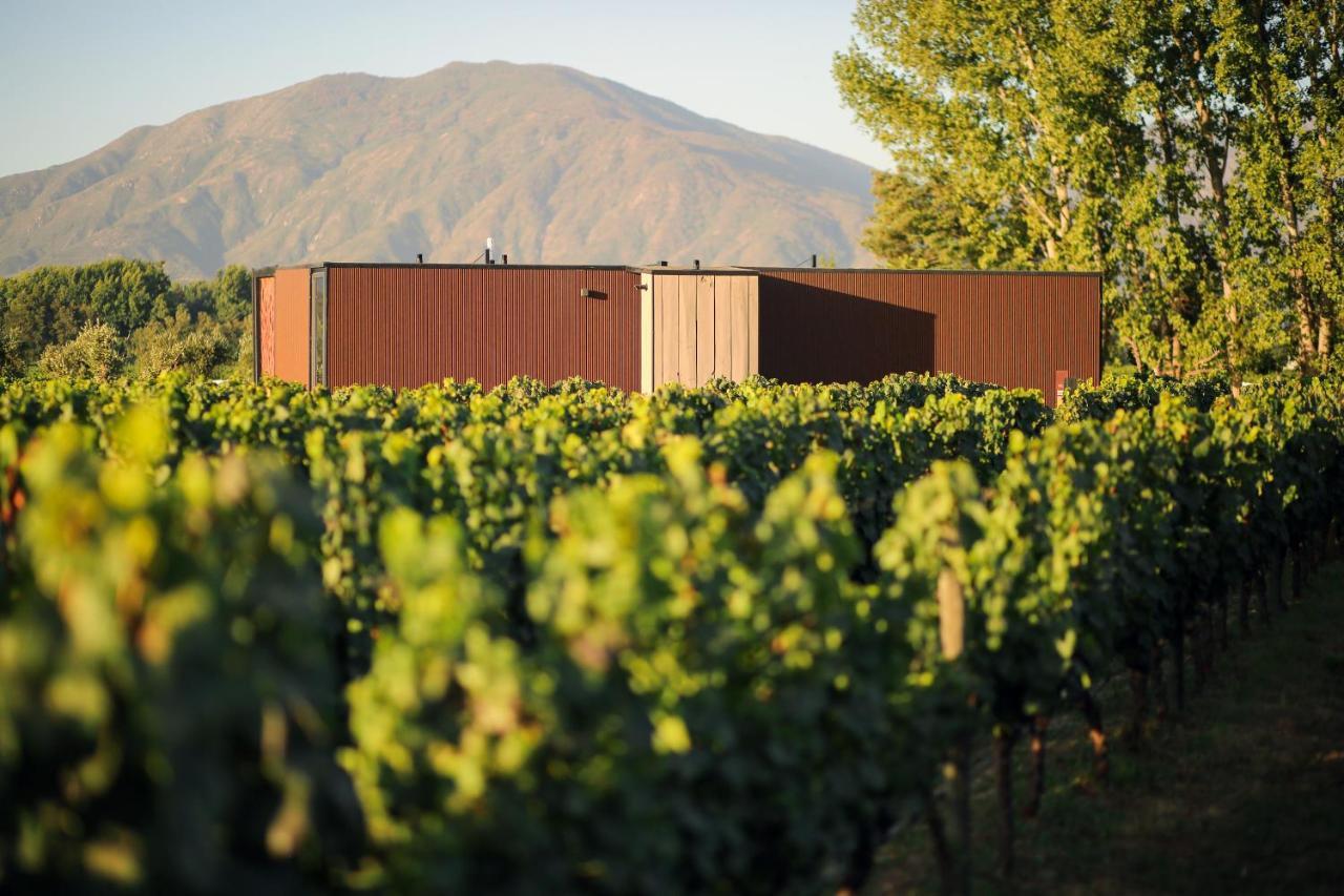 Vibo Wine Lodge At Viu Manent 산타크루스 외부 사진