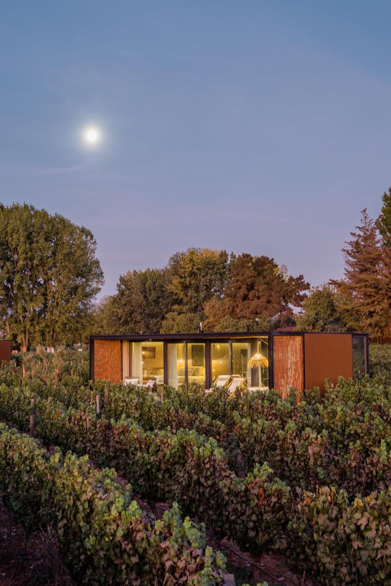 Vibo Wine Lodge At Viu Manent 산타크루스 외부 사진